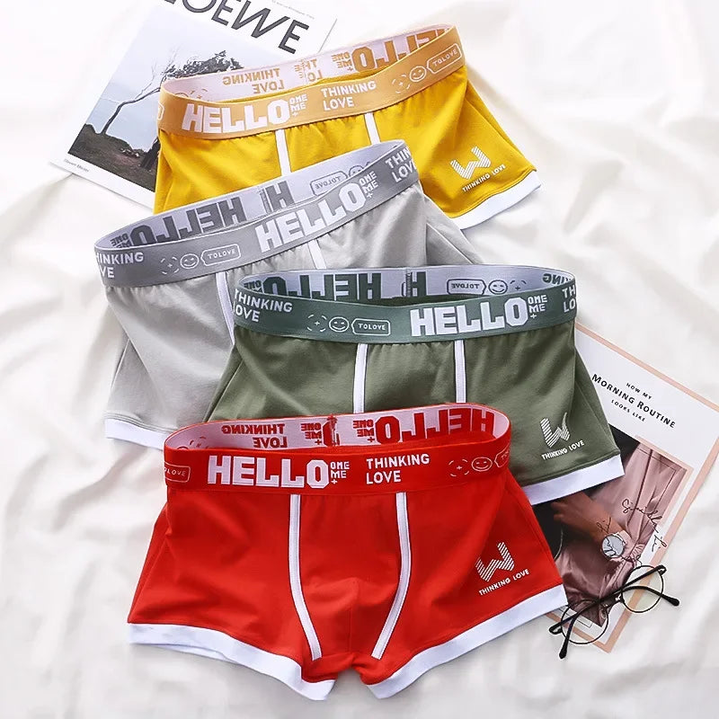 4PCS Men's Panties Cotton Boxer Shorts Underwear