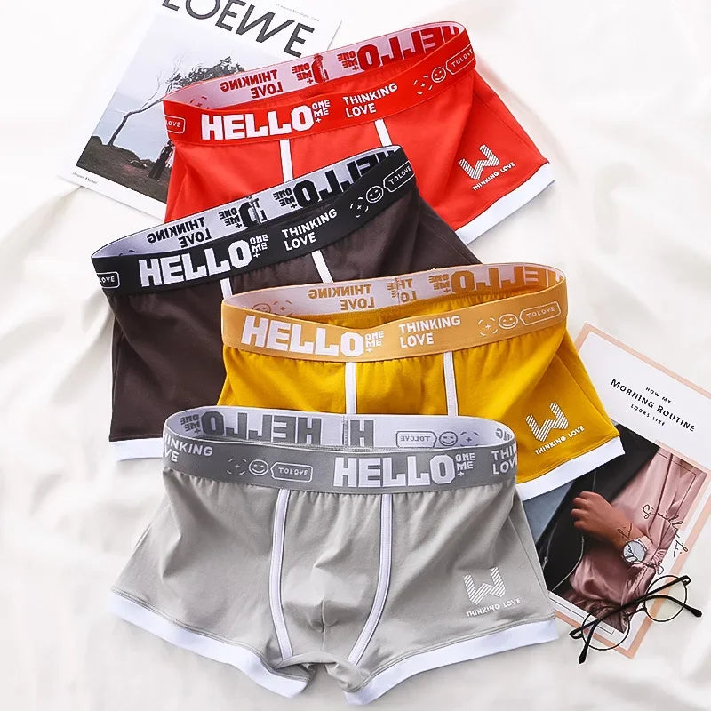 4PCS Men's Panties Cotton Boxer Shorts Underwear