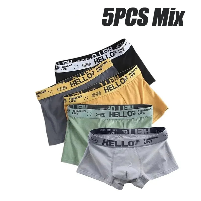 5pcs Men’s Male Boxershort Underpant Comfortable Breathable Boxers