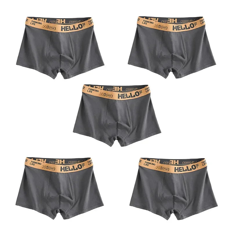 5pcs Men’s Male Boxershort Underpant Comfortable Breathable Boxers