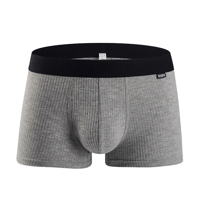 Man Sexy Boxers Modal Panties Breathable Soft Boxer Shorts U Bulge Penis Pouch Male Underpants Cueca