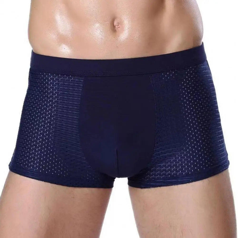 5pc Men Boxers Elastic Ice Silk Mesh Seamless Boxers Breathable Underwear