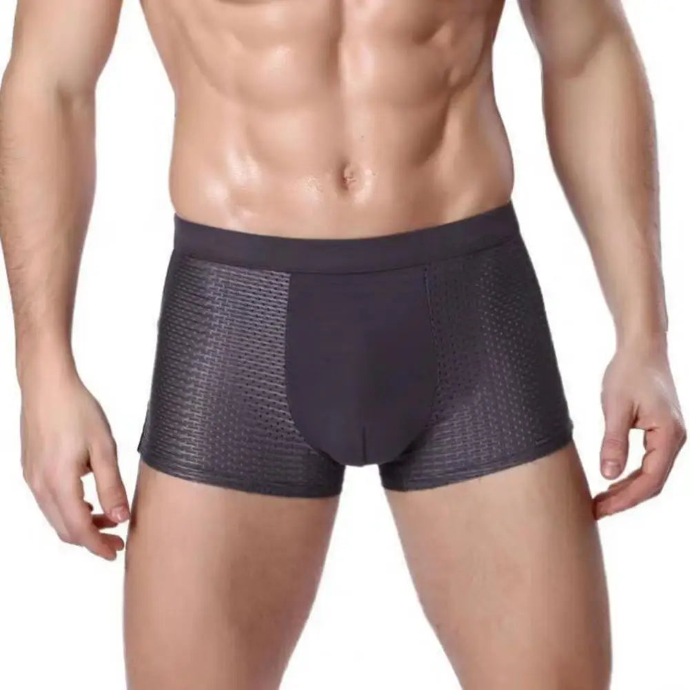 5pc Men Boxers Elastic Ice Silk Mesh Seamless Boxers Breathable Underwear