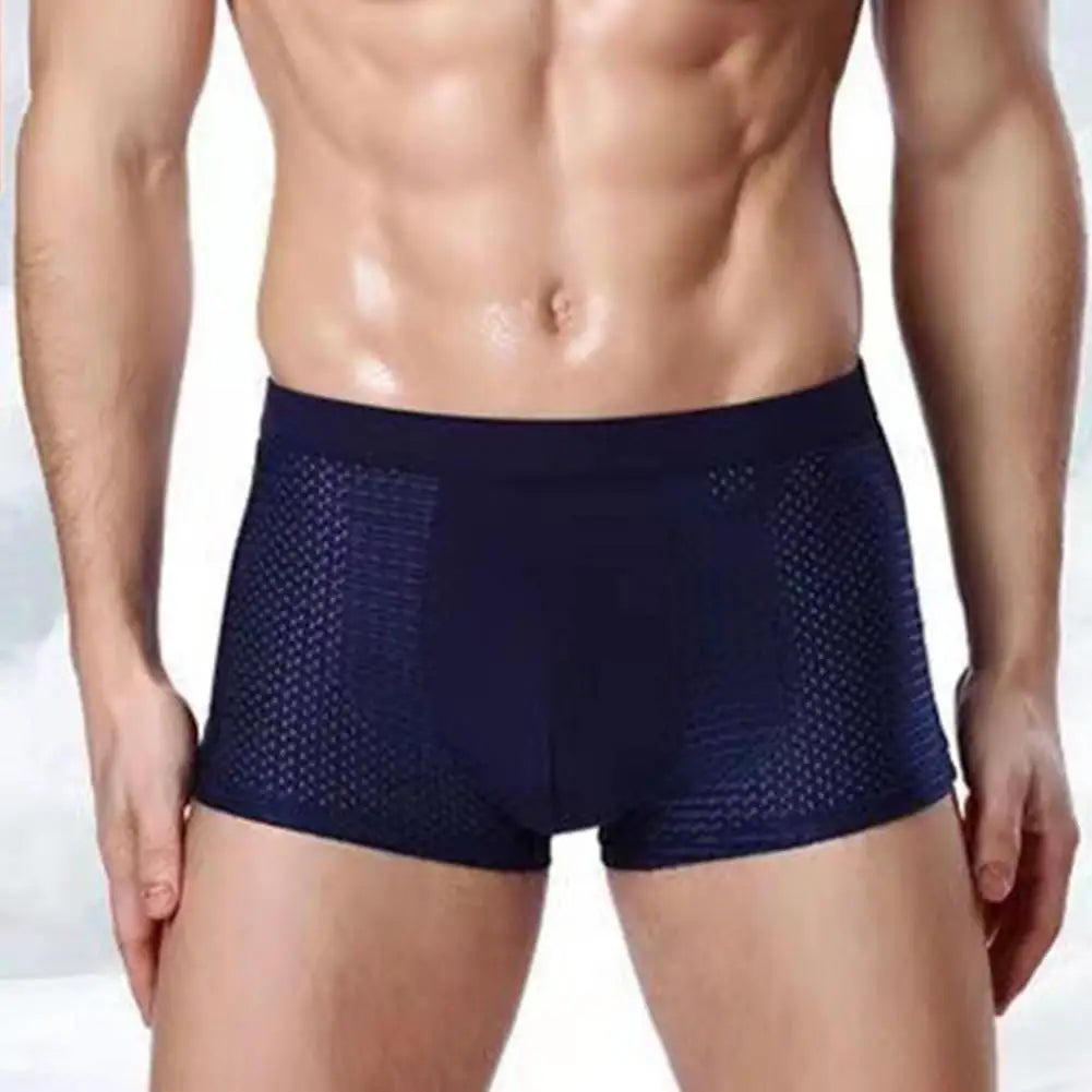 5pc Men Boxers Elastic Ice Silk Mesh Seamless Boxers Breathable Underwear