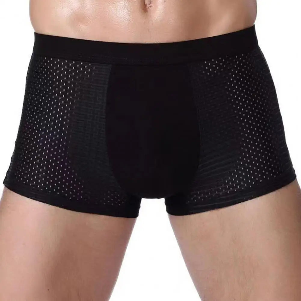 5pc Men Boxers Elastic Ice Silk Mesh Seamless Boxers Breathable Underwear