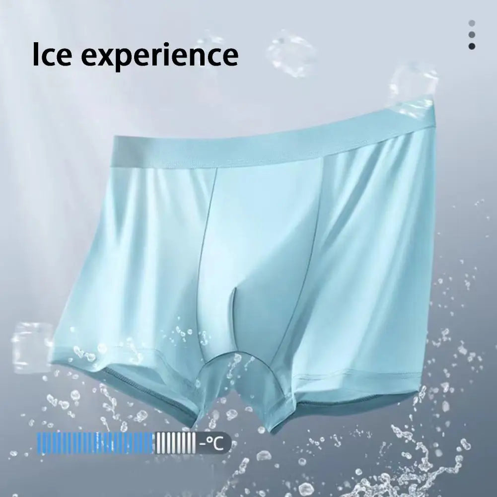 5pc Men Underpants Breathable Stretchy Underwear